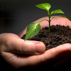 I don't wanna be your lover... I don't wanna be your friend...