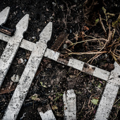 Broken Home Boulevard