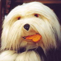 San Soda S Stream san soda s stream