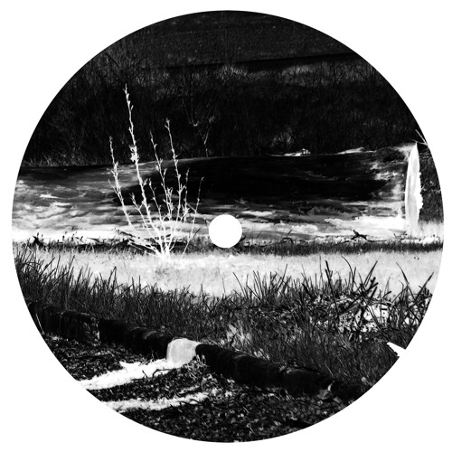 Tom Obsolete - This is Your Life