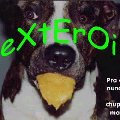 09 - Velho Punk (Gritando HC)