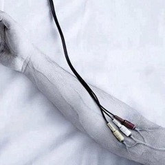 Eliran cohen circle soul