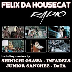 Felix Da Housecat - Radio (DATA remix)
