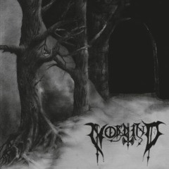 Nordwind - 09-And Die In Silence