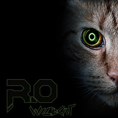 R.O - Wildcat ( FREE DOWNLOAD )