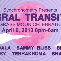 Ben Annand Live at Integral Transitions LA Warehouse party, April 6, 2013