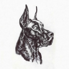 Great Dane - Alpha Dog & Invite Only