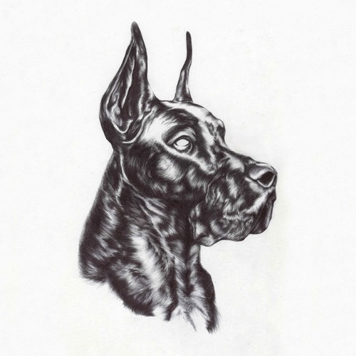 Great Dane - Alpha Dog & Invite Only