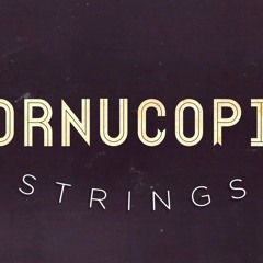 Spontaneous Human Combustion - Strezov Cornucopia