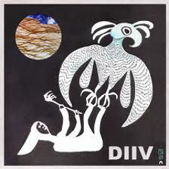 DIIV Imitation II