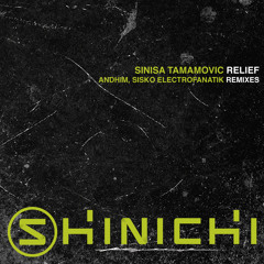 Sinisa Tamamovic - Relief (Original Mix)
