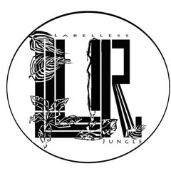 Junglord & Dee-Double U - Kidnap (Forthcoming 12" on Labelless Records)