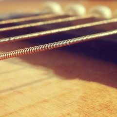 Bestiasán Rejo - Motivos