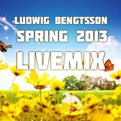 Ludwig Bengtsson Spring 2013 Livemix