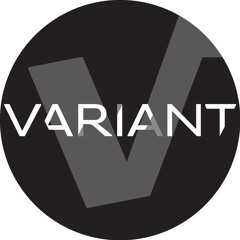 Mattias Fridell    -  Subsekt   (Variant remix ) unreleased