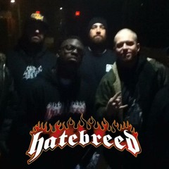 Hatebreed- Burn the Lies (Vocal Cover)