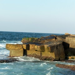 ابن عربى-تحى اذا قتلت