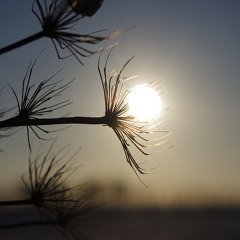 Morgentau - PlattenSchubser live @ Afterhour Steinbruch ( ChillOut BDAY - SET )