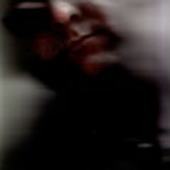 Going Home....(Sea Birds Fly At Night)