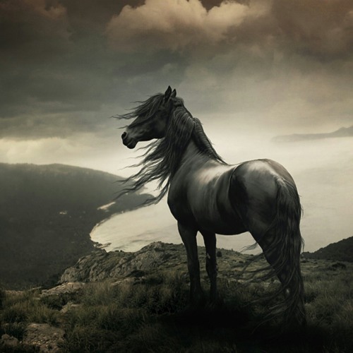 يا مُهجتي أَنتم هُنا at atyaf.co