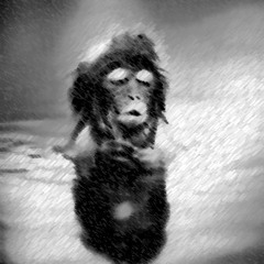 Frenetik  - Hiperreality - AcidMonkey Rework