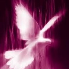 Radio Profeta - La Promesa del Señor: El Buen Perfume (creado con Spreaker)