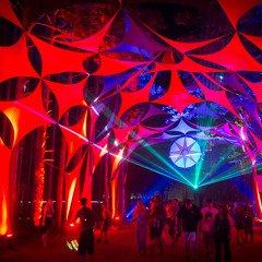 Electric Forest 2013