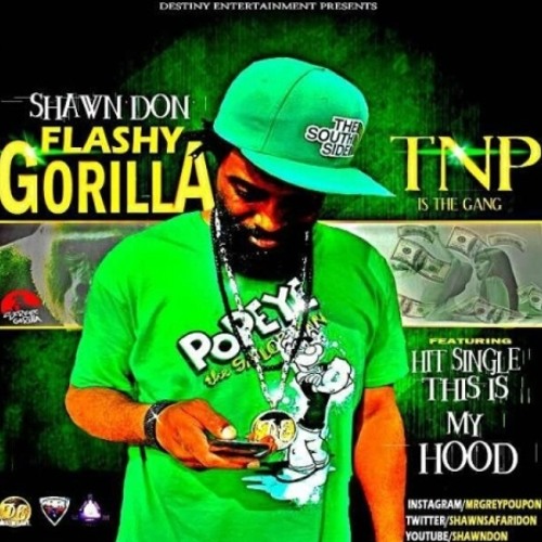 Many Men 50 Cent TNP Re-Mix 10th Anniversary