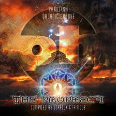 Akot - Higher state of consciousness ( Phantasm Records - Organic Groove)