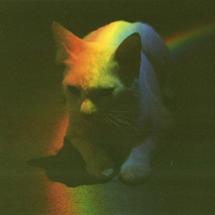 NO.GOOD.YES.PURR.PURR.GOOD