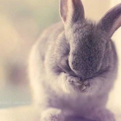 16bit - New style of dub step