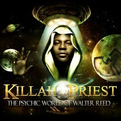 Killah Priest - Shadow Landz