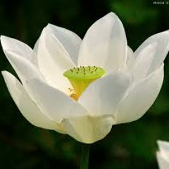 Pnher Pran ler pka chhuk sor