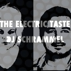 Dj Schrammel feat. TheElectricTaste - D.I.S.C.O
