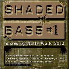 Shaded Bass#01