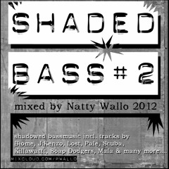 Shaded Bass#02