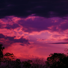 Lee moody - violet sky