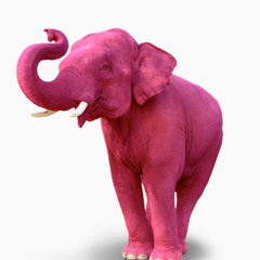 Dj Georges Lieven - Pink Elephants