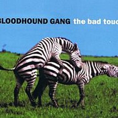 Bloodhoung Gang - The bad touch (Milano Defer Remix)