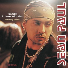 STELF N SEAN PAUL INFILTRATE