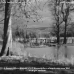 Peter Pavlovic - Expected Spring (Original Mix) Prev
