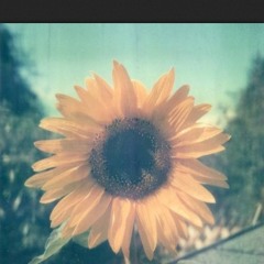 Valerie - Cover by Emilie & Nobbi