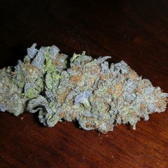 Lil Peps - Oooh This Fuckers Back