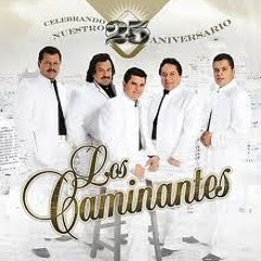 Los caminantes mix-dj totohh