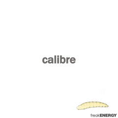 Calibre - people never change feat. DRS