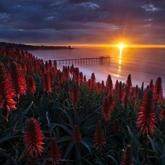 Henko Soundtrack #2 by Victor Medina