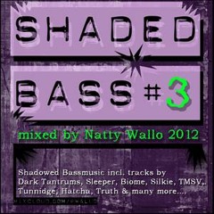 Shaded Bass#03