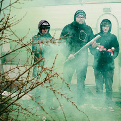 The Tips - What You Reap (Pre-Production Free Download)