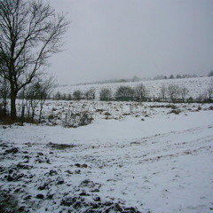 FSOP - poludnajsi song