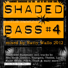 Shaded Bass#04